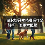 膀胱切开术精准操作全解析:附手术视频(图2) 膀胱切开术精准操作全解析:附手术视频(图2)