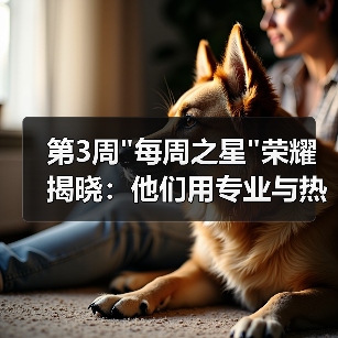 第3周 第3周每周之星荣耀揭晓:他们用专业与热情书写荣光(图3)