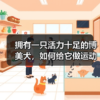 拥有一只活力十足的博美犬，如何给它做运动