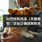 如何给狗洗澡(关爱宠物,学会正确给狗狗洗澡)(图2) 如何给狗洗澡(关爱宠物,学会正确给狗狗洗澡)(图2)