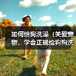 如何给狗洗澡(关爱宠物,学会正确给狗狗洗澡)(图4) 如何给狗洗澡(关爱宠物,学会正确给狗狗洗澡)(图4)