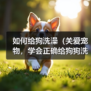 如何给狗洗澡（关爱宠物，学会正确给狗狗洗