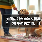 如何应对吉娃娃发情期？（关爱你的宠物，让TA度过发情期）(图2)
