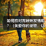 如何应对吉娃娃发情期？（关爱你的宠物，让TA度过发情期）(图4)