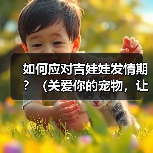 如何应对吉娃娃发情期？（关爱你的宠物，让