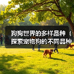 狗狗世界的多样品种（探索宠物狗的不同品种和特点）(图3)