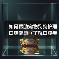 如何帮助宠物狗狗护理口腔健康（了解口腔疾
