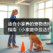 适合小家养的宠物选择指南（小家庭中最适合的宠物选择及饲养技巧）(图3)