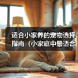 适合小家养的宠物选择指南（小家庭中最适合的宠物选择及饲养技巧）(图2)