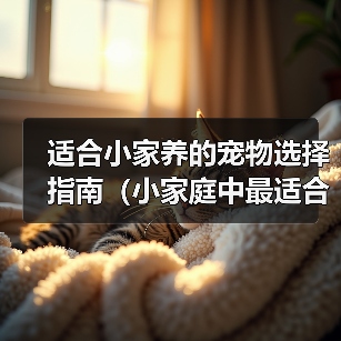适合小家养的宠物选择指南（小家庭中最适合