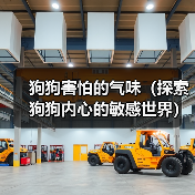 狗狗害怕的气味(探索狗狗内心的敏感世界)(图4) 狗狗害怕的气味(探索狗狗内心的敏感世界)(图4)