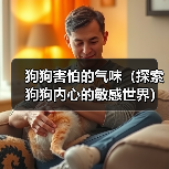 狗狗害怕的气味(探索狗狗内心的敏感世界)(图2) 狗狗害怕的气味(探索狗狗内心的敏感世界)(图2)