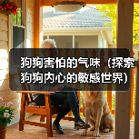 狗狗害怕的气味(探索狗狗内心的敏感世界)(图3) 狗狗害怕的气味(探索狗狗内心的敏感世界)(图3)