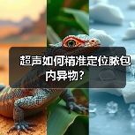 超声如何精准定位脓包内异物？