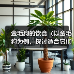 金毛狗的饮食(以金毛狗为例,探讨适合它们的膳食搭配,以青菜为主的好处)(图1) 金毛狗的饮食(以金毛狗为例,探讨适合它们的膳食搭配,以青菜为主的好处)(图1)