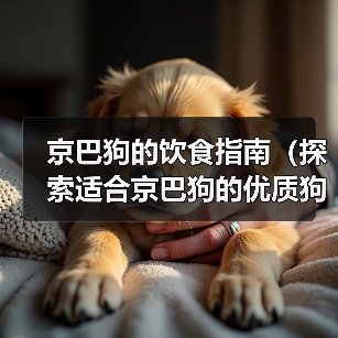 京巴狗的饮食指南（探索适合京巴狗的优质狗粮与营养需求）(图1)