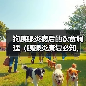 狗胰腺炎病后的饮食调理（胰腺炎康复必知，帮助狗狗恢复健康的营养饮食）(图2)