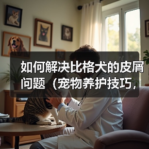 如何解决比格犬的皮屑问题(宠物养护技巧,养出健康快乐的比格犬)(图1) 如何解决比格犬的皮屑问题(宠物养护技巧,养出健康快乐的比格犬)(图1)