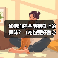 如何消除金毛狗身上的异味？（宠物爱好者必看！金毛狗身上异味的原因和解决方法）(图1)