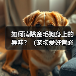 如何消除金毛狗身上的异味？（宠物爱好者必看！金毛狗身上异味的原因和解决方法）(图2)