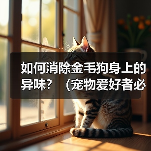 如何消除金毛狗身上的异味？（宠物爱好者必看！金毛狗身上异味的原因和解决方法）(图4)