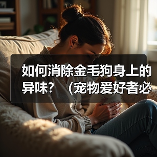 如何消除金毛狗身上的异味？（宠物爱好者必看！金毛狗身上异味的原因和解决方法）(图3)
