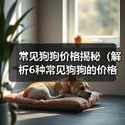 常见狗狗价格揭秘（解析6种常见狗狗的价格及入手要点）(图4)