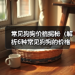 常见狗狗价格揭秘（解析6种常见狗狗的价格及入手要点）(图1)