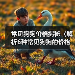 常见狗狗价格揭秘（解析6种常见狗狗的价格及入手要点）(图3)