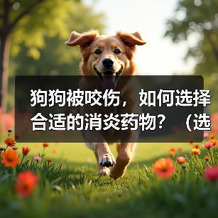 狗狗被咬伤,如何选择合适的消炎药物?(选择消炎药物需考虑伤口程度和狗狗个体差异)(图2) 狗狗被咬伤,如何选择合适的消炎药物?(选择消炎药物需考虑伤口程度和狗狗个体差异)(图2)