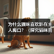 为什么猫咪喜欢趴在主人胸口?(探究猫咪喜欢趴在主人胸口的原因及其意义)(图2) 为什么猫咪喜欢趴在主人胸口?(探究猫咪喜欢趴在主人胸口的原因及其意义)(图2)