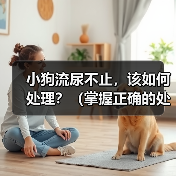 小狗流尿不止，该如何处理？（掌握正确的处理方法，让小狗健康成长）(图3)