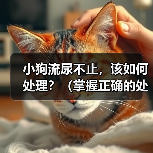 小狗流尿不止，该如何处理？（掌握正确的处理方法，让小狗健康成长）(图4)