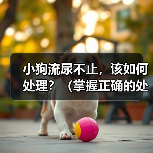 小狗流尿不止，该如何处理？（掌握正确的处理方法，让小狗健康成长）(图2)