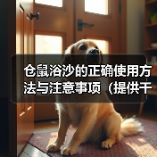 仓鼠浴沙的正确使用方法与注意事项(提供干净和舒适环境,保持仓鼠健康和快乐)(图4) 仓鼠浴沙的正确使用方法与注意事项(提供干净和舒适环境,保持仓鼠健康和快乐)(图4)