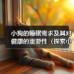 小狗的睡眠需求及其对健康的重要性（探索小狗睡眠模式与健康之间的关系）(图3)