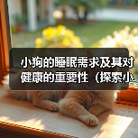 小狗的睡眠需求及其对健康的重要性（探索小狗睡眠模式与健康之间的关系）(图2)