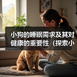 小狗的睡眠需求及其对健康的重要性（探索小狗睡眠模式与健康之间的关系）(图4)