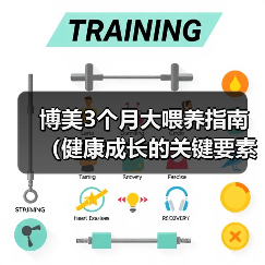 博美3个月大喂养指南（健康成长的关键要素和喂养技巧）(图3)