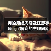 狗的月经周期及注意事项(了解狗的生理周期,关注宠物健康)(图1) 狗的月经周期及注意事项(了解狗的生理周期,关注宠物健康)(图1)