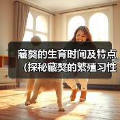 藏獒的生育时间及特点（探秘藏獒的繁殖习性与最佳生育时间）(图3)
