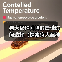狗犬配种间隔的最佳时间选择（探索狗犬配种间隔的最佳策略，以确保繁育的成功和健康）(图4)