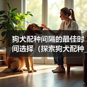 狗犬配种间隔的最佳时间选择（探索狗犬配种间隔的最佳策略，以确保繁育的成功和健康）(图1)