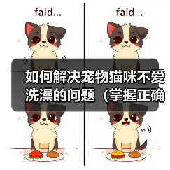 如何解决宠物猫咪不爱洗澡的问题（掌握正确方法，让猫咪爱上洗澡）(图2)