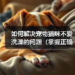 如何解决宠物猫咪不爱洗澡的问题（掌握正确方法，让猫咪爱上洗澡）(图1)