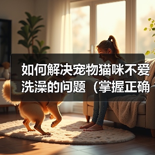 如何解决宠物猫咪不爱洗澡的问题（掌握正确方法，让猫咪爱上洗澡）(图4)