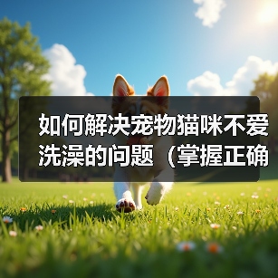 如何解决宠物猫咪不爱洗澡的问题（掌握正确方法，让猫咪爱上洗澡）(图3)
