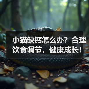 小猫缺钙怎么办?合理饮食调节,健康成长!(为小猫提供适宜的食物,预防钙缺乏问题)(图2) 小猫缺钙怎么办?合理饮食调节,健康成长!(为小猫提供适宜的食物,预防钙缺乏问题)(图2)