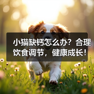 小猫缺钙怎么办?合理饮食调节,健康成长!(为小猫提供适宜的食物,预防钙缺乏问题)(图4) 小猫缺钙怎么办?合理饮食调节,健康成长!(为小猫提供适宜的食物,预防钙缺乏问题)(图4)