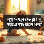 提升外科技能必备?重庆高阶实操班限时开启!(图3) 提升外科技能必备?重庆高阶实操班限时开启!(图3)